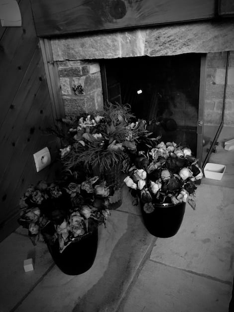 A black and white photo of a small memorial site for a crime victim. Flowers and candles are placed at the base of a tree, with a laminated photo of the victim attached to the trunk. The scene has a somber and respectful tone.