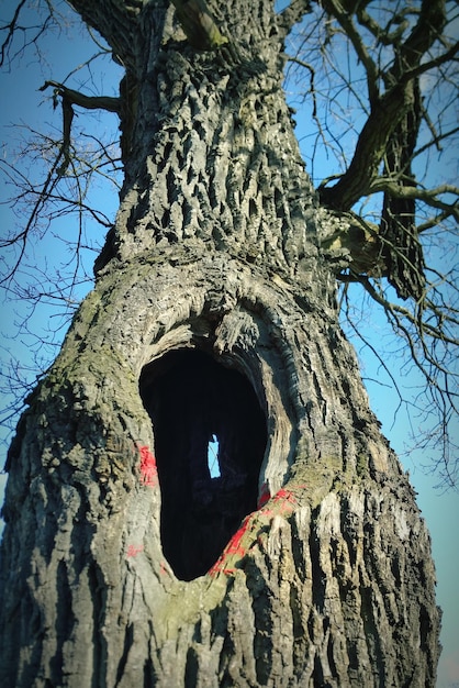 An image of a mysterious symbol carved into a stone or tree within the town of From. The symbol should look ancient and otherworldly, hinting at the supernatural forces at play.